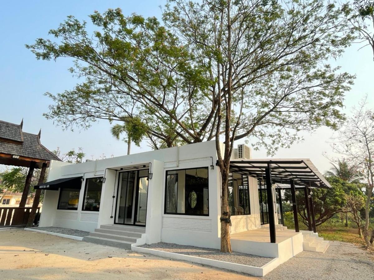 Resort Green Tree Resort *