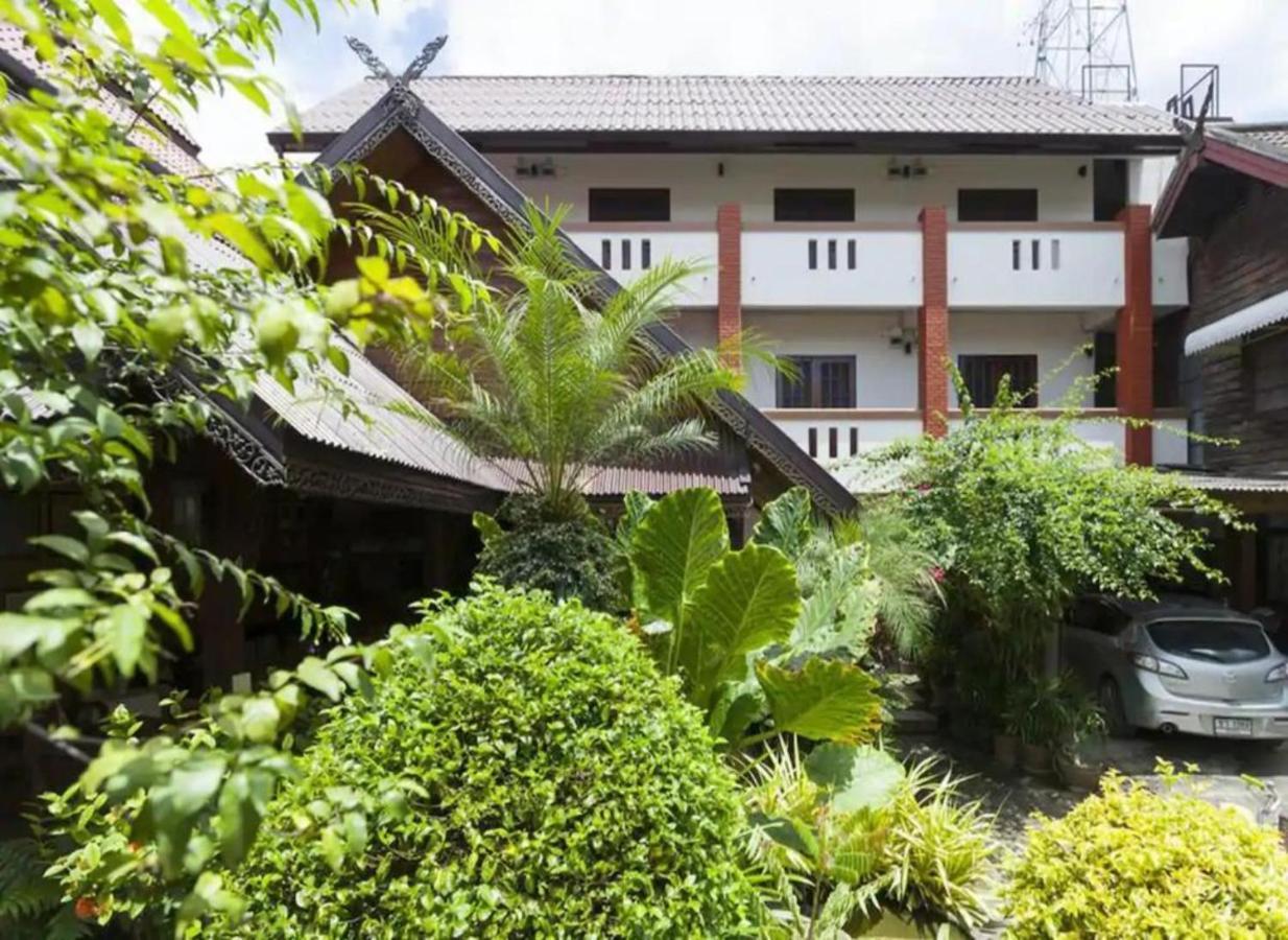 Little * Chiang Mai