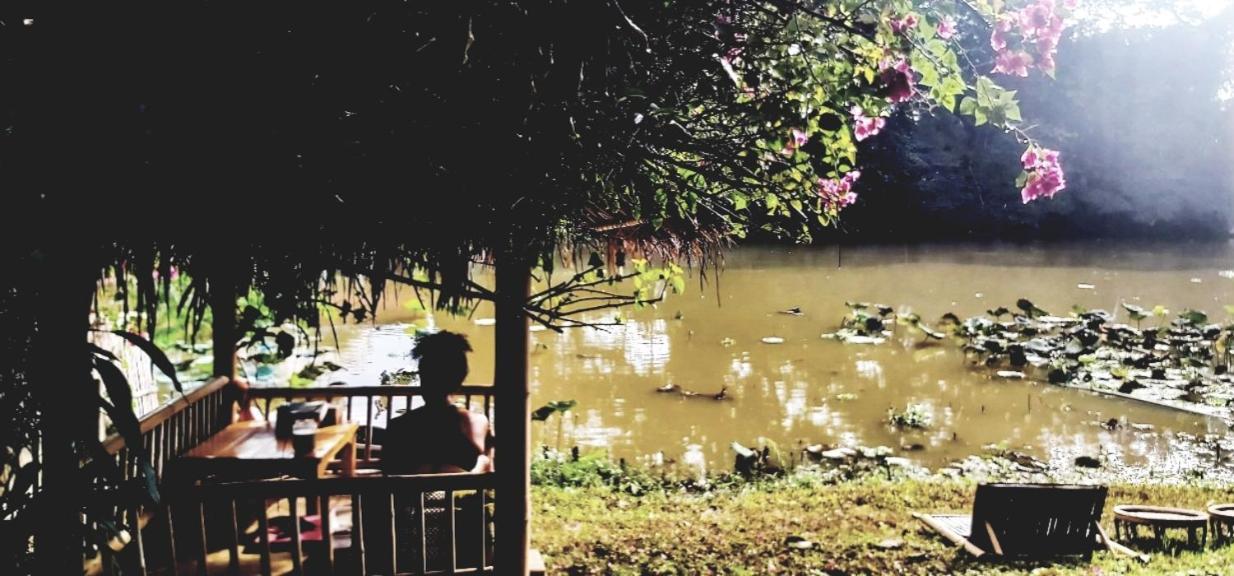 Mapping * Chiang Mai