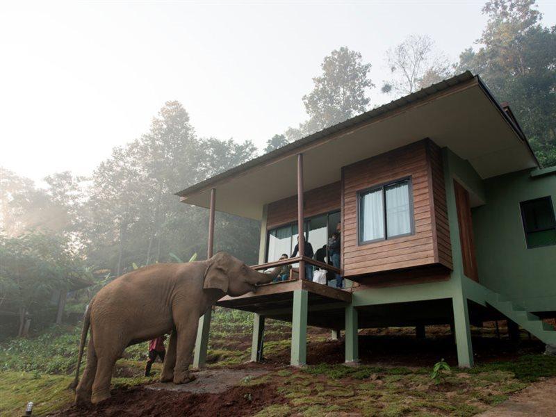Hotel Elephant Friends