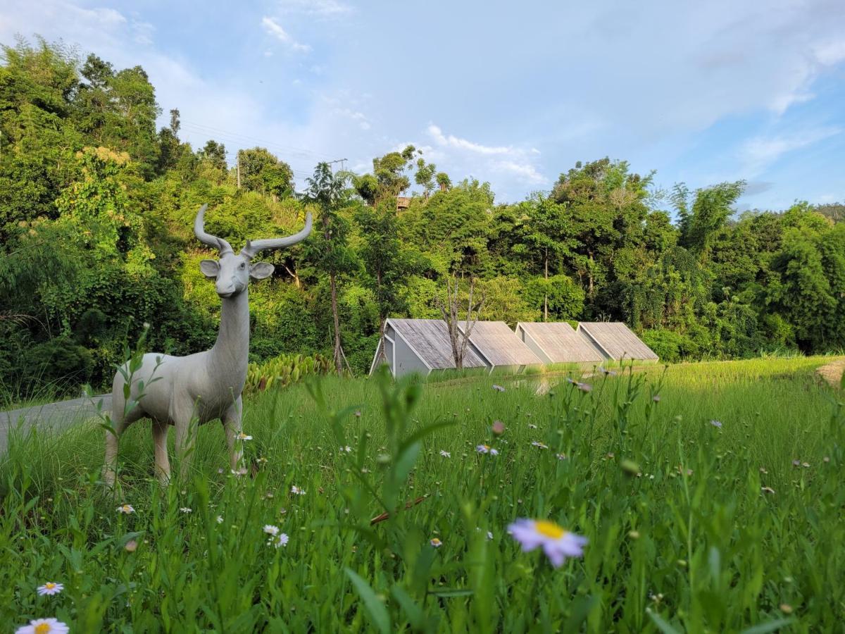 Aomlonghomenon Guest house *