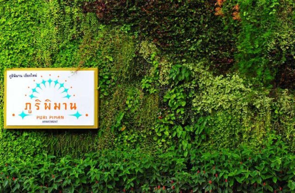 Inn Puri Piman Chiang Mai