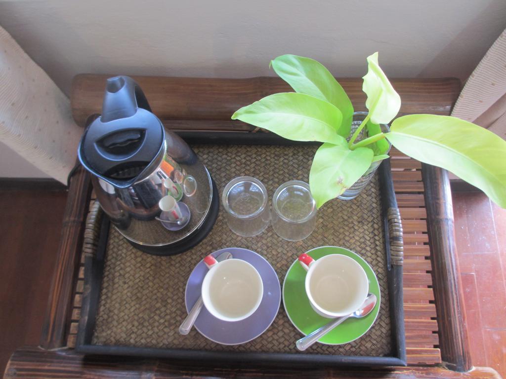 Luna Chiang Mai