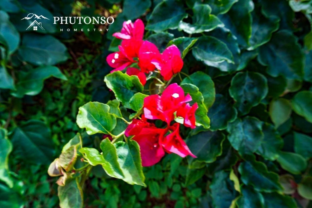 Hospedagem domiciliar Phutonso
