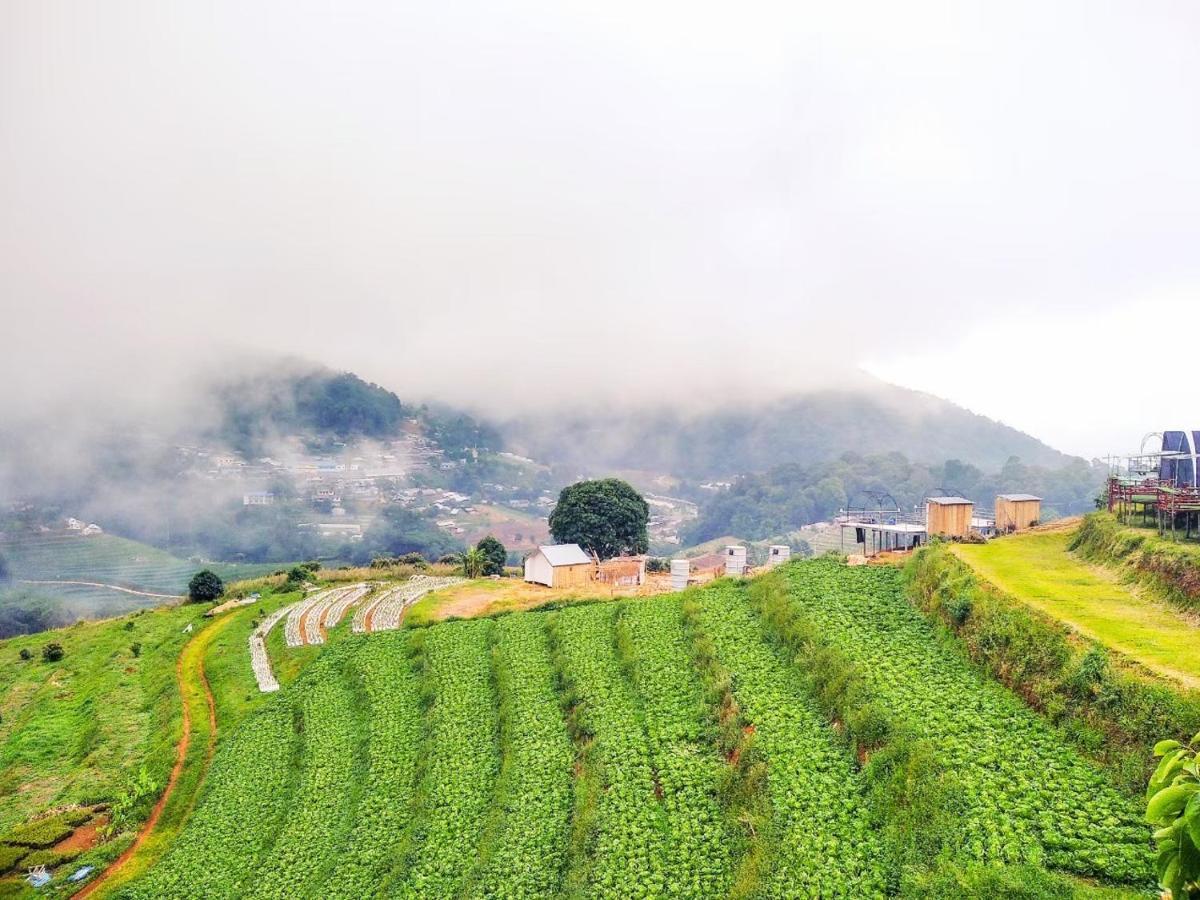 Phutonso * Chiang Mai