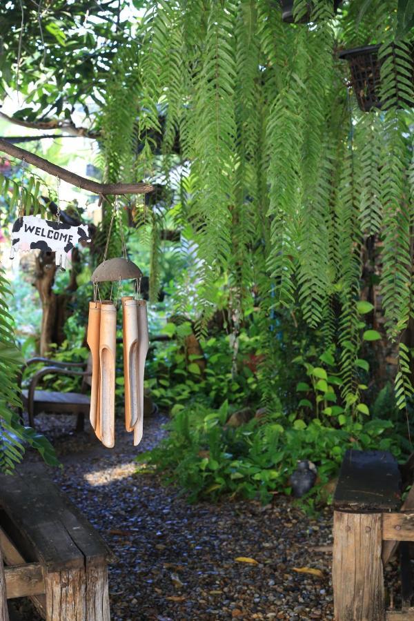 Plumeriahome