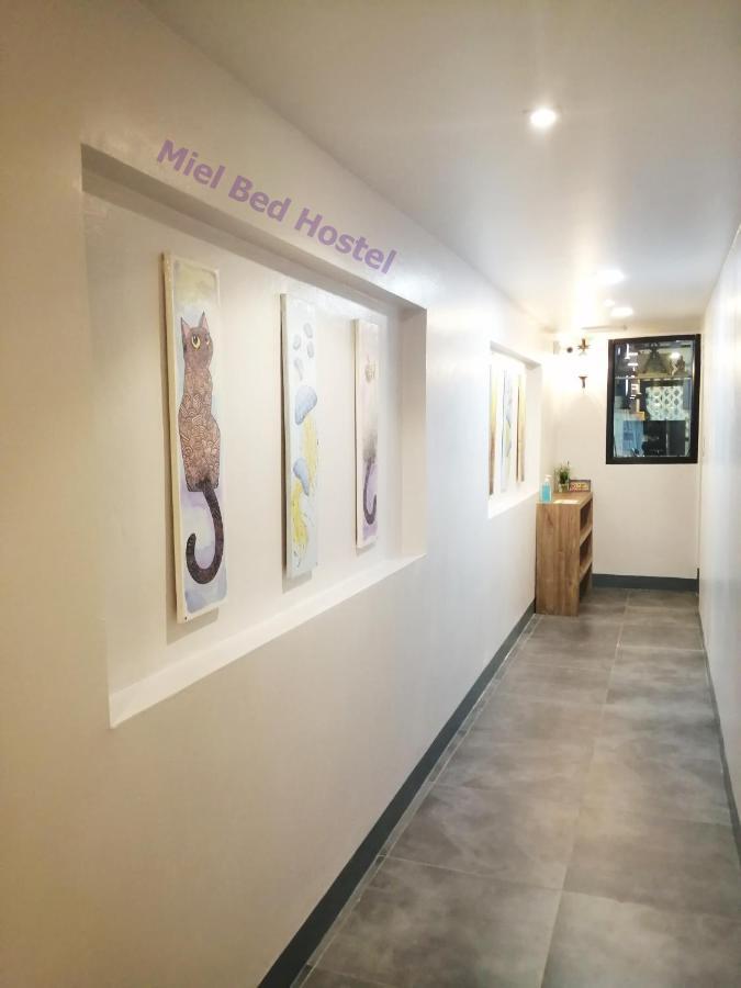 Miel Bed & Gallery Hostel *