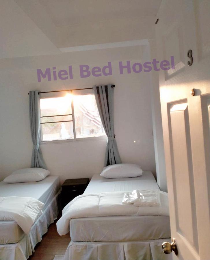 Miel Bed & Gallery Hostel *