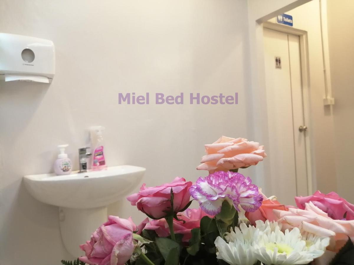 Hostel Miel Bed & Gallery