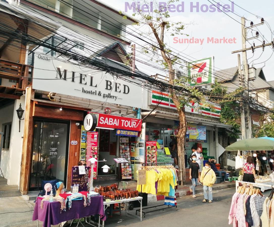 Miel Bed & Gallery Hostel