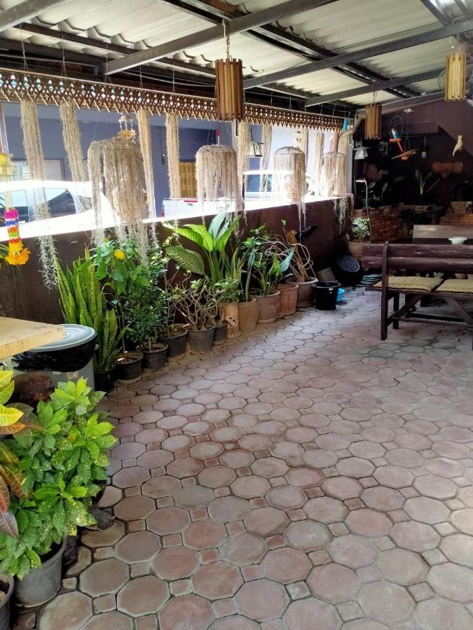 North Star Hostel *