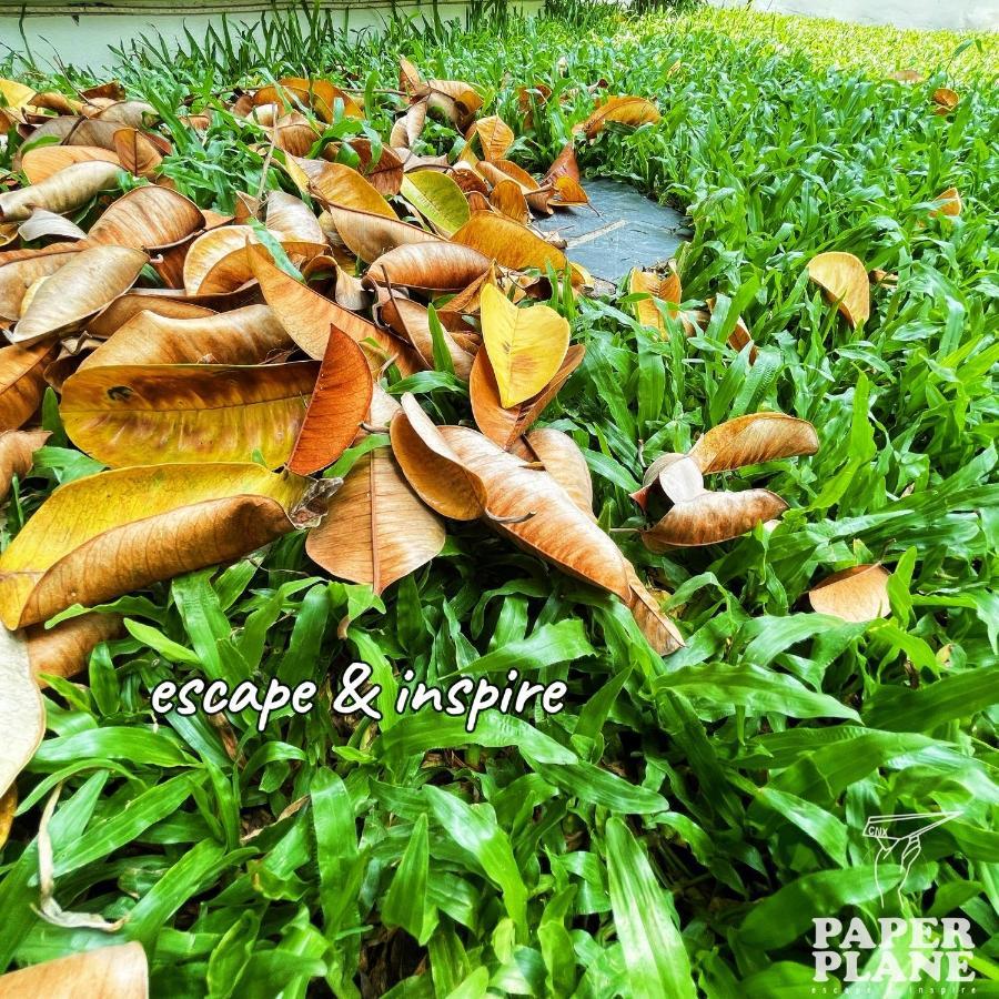 Paper Plane Cnx Bed & Breakfast Chiang Mai