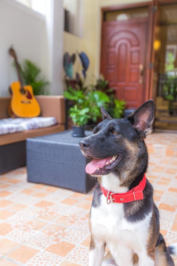 The Little Siri Guest house Chiang Mai