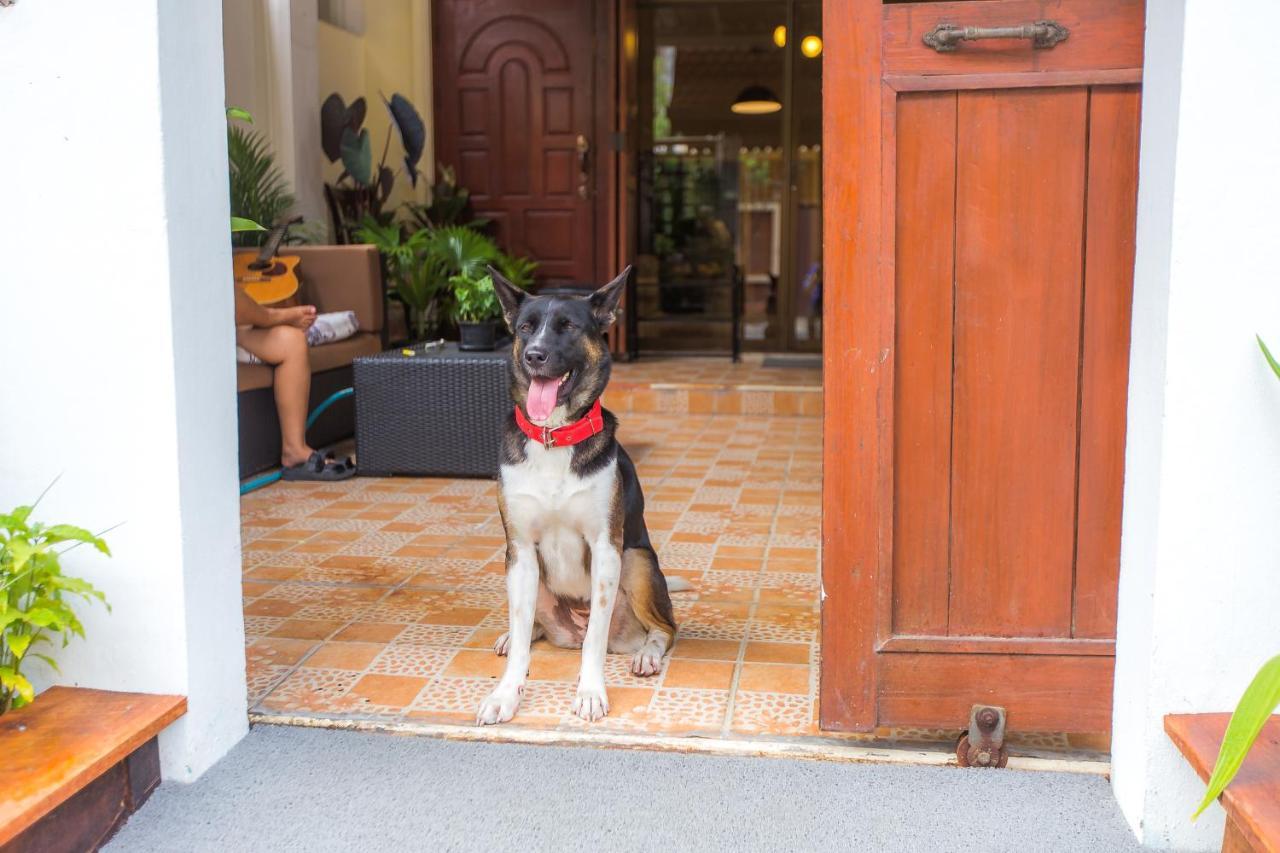 The Little Siri Chiang Mai
