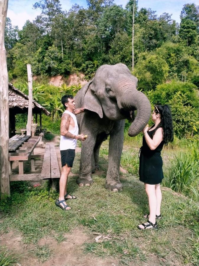 Funky Monkey Cnx - Chiang Mai