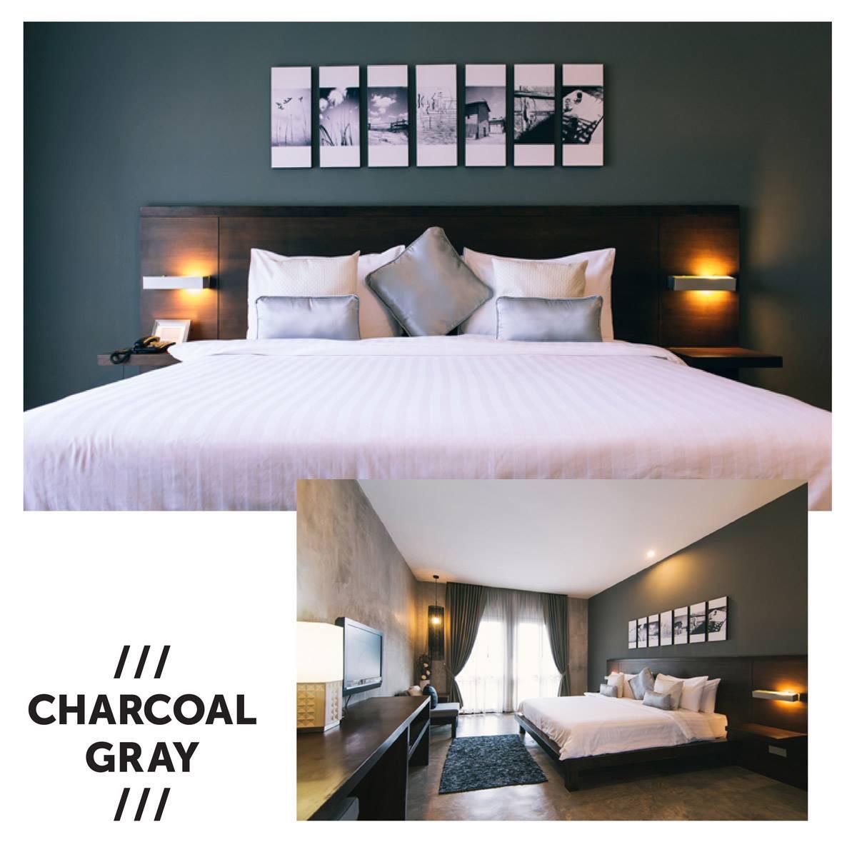 Ketawa Pet Friendly 4*