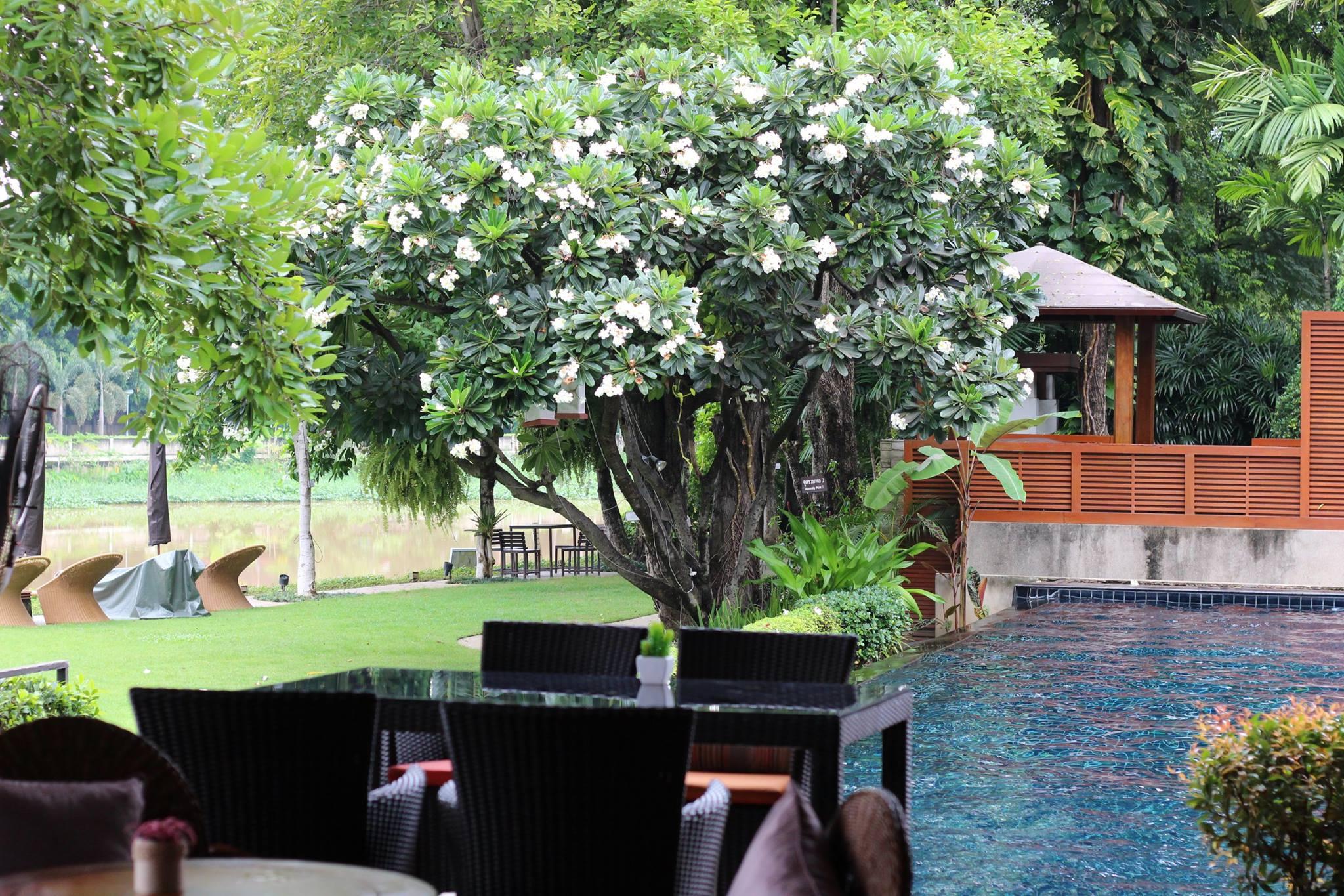 Ratilanna Riverside