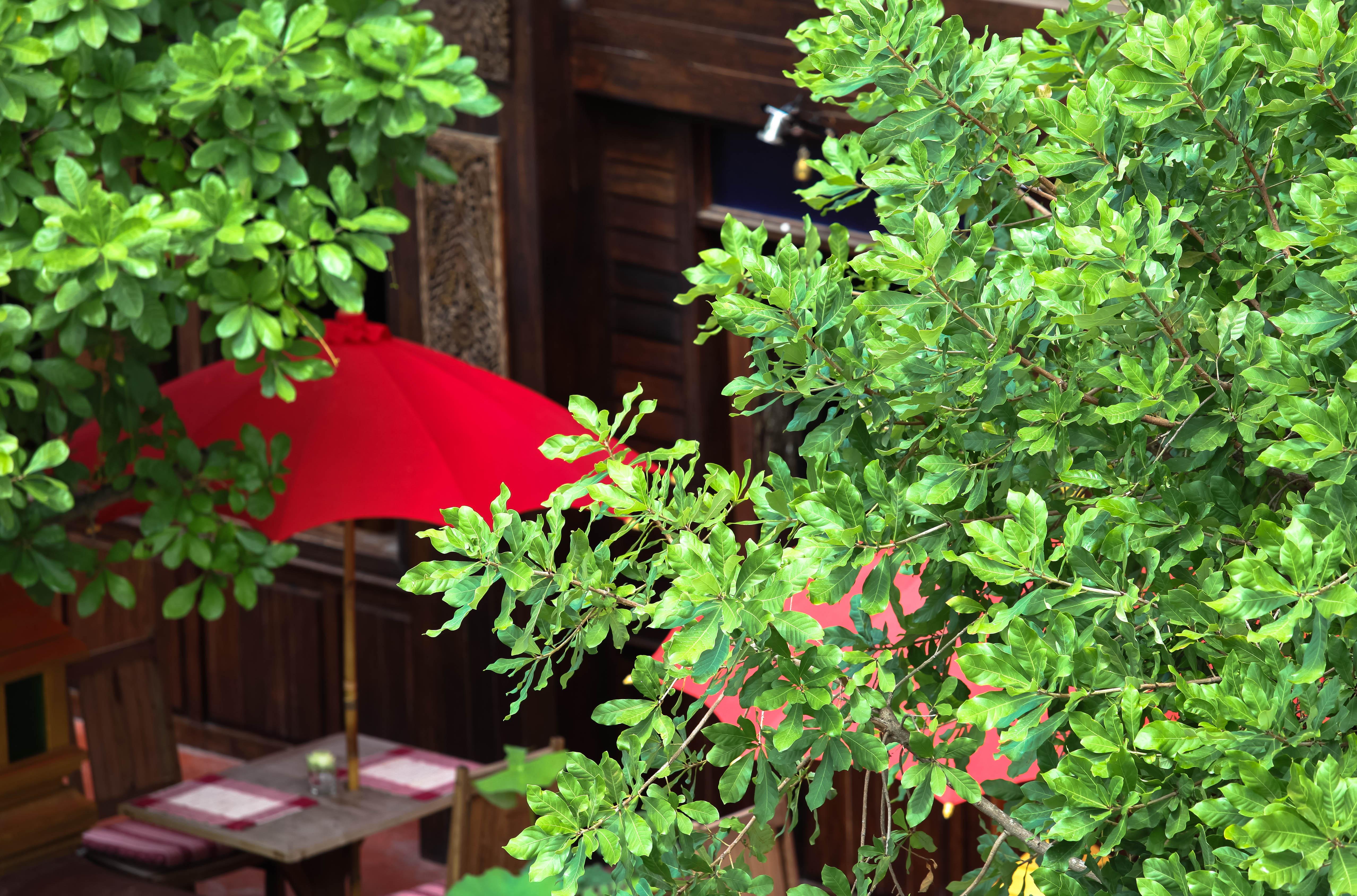 Singha Montra Lanna Boutique Style Hotel 4*
