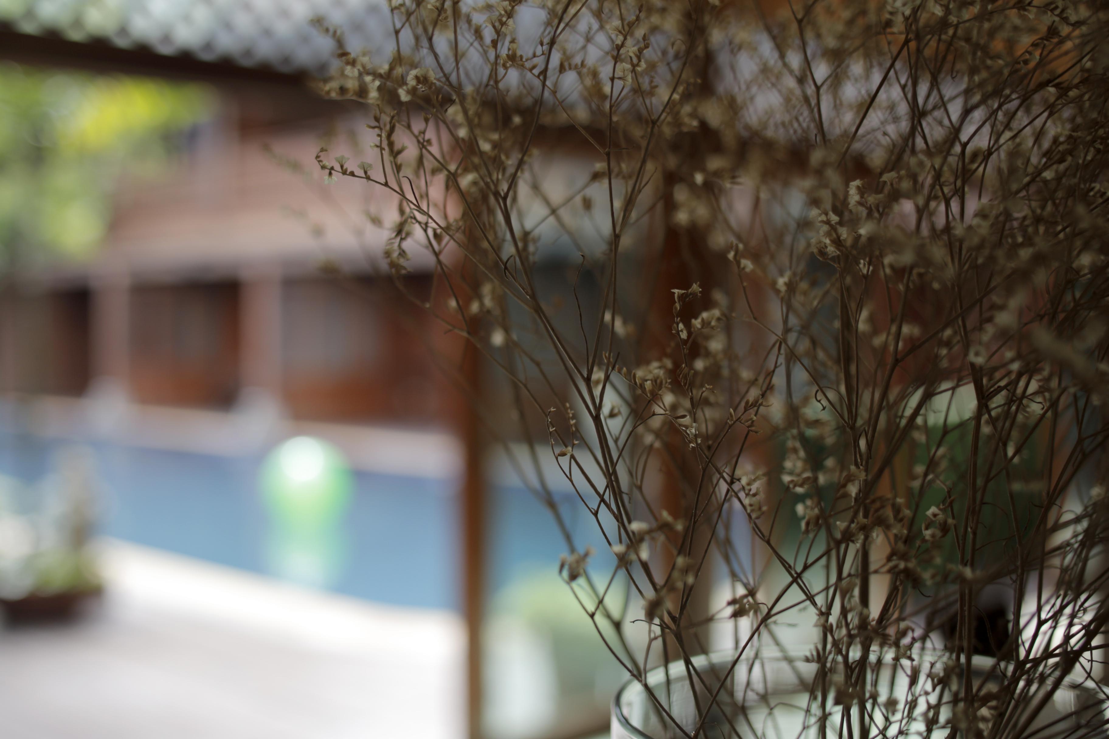 Baan U Sabai Boutique House-sha 4* Chiang Mai