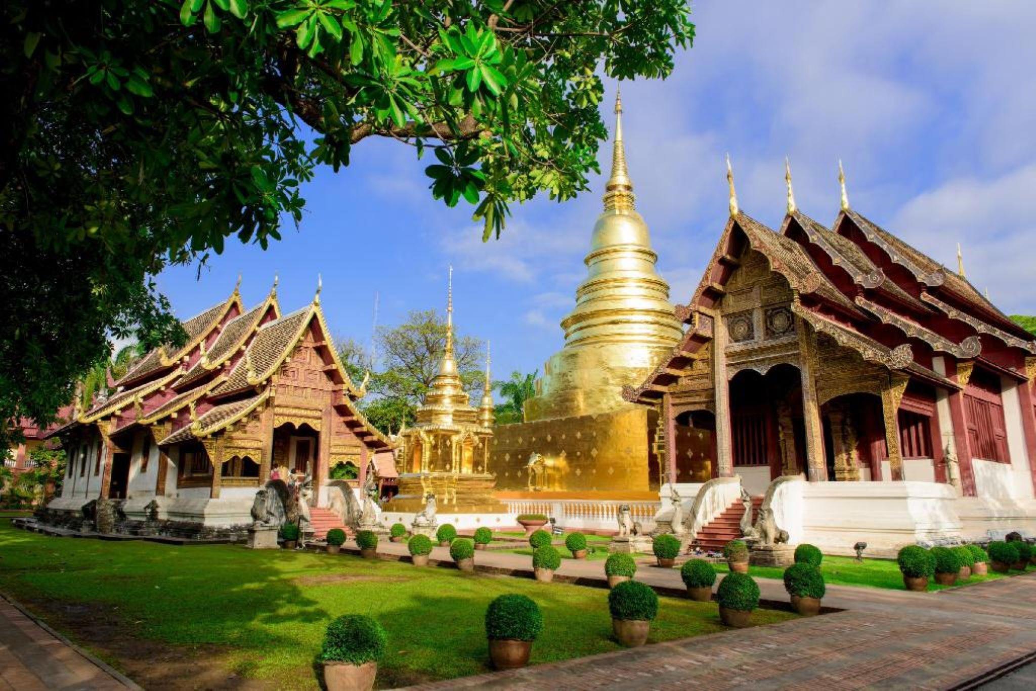 Wellness Chiang Mai