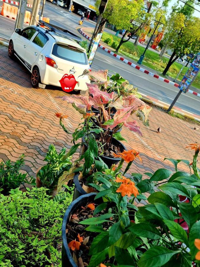 T2b * Chiang Mai