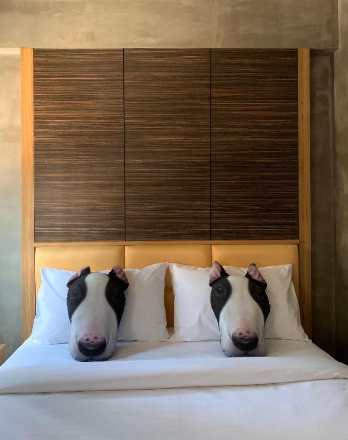 Albergue Pinghostel (adults Only)