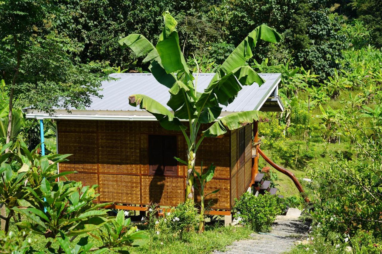 True Nature - Yoga & Meditation Homestay Retreat *