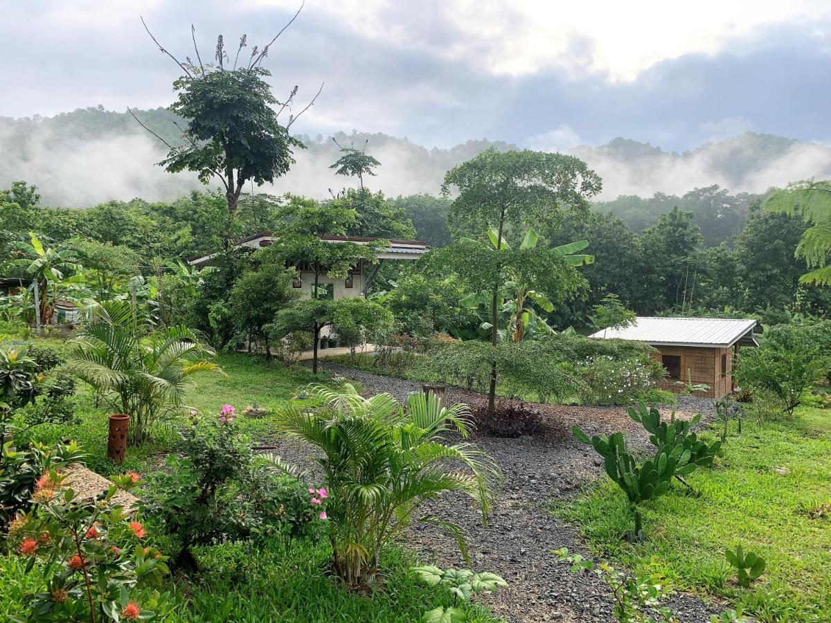 True Nature - Yoga & Meditation Homestay Retreat