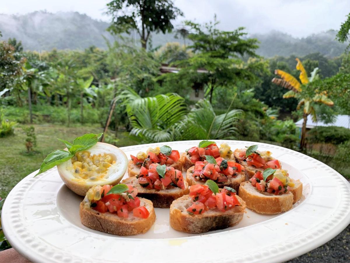 Casa de hóspedes True Nature - Yoga & Meditation Homestay Retreat