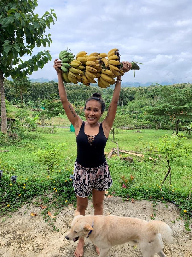 True Nature - Yoga & Meditation Homestay Retreat *