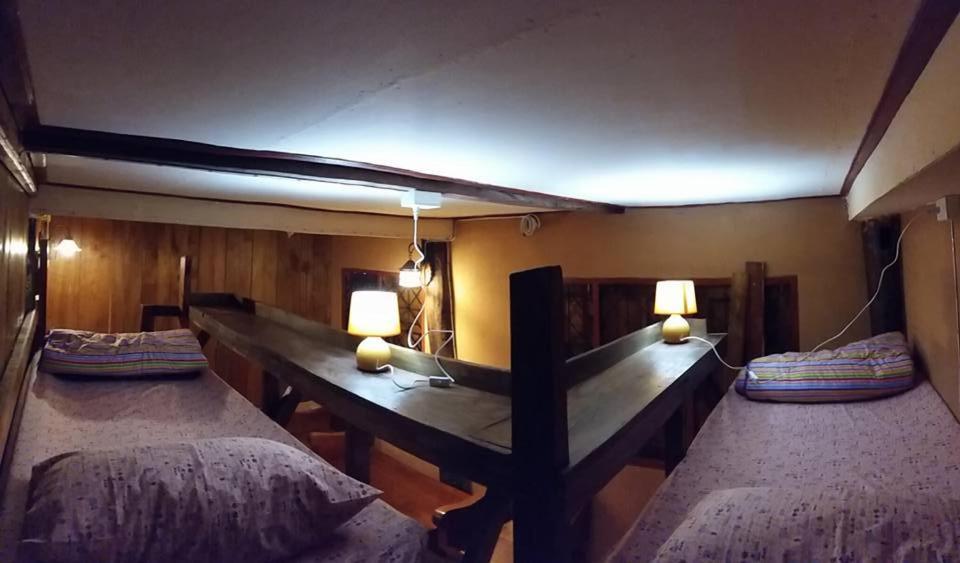 Hostel Cactus *