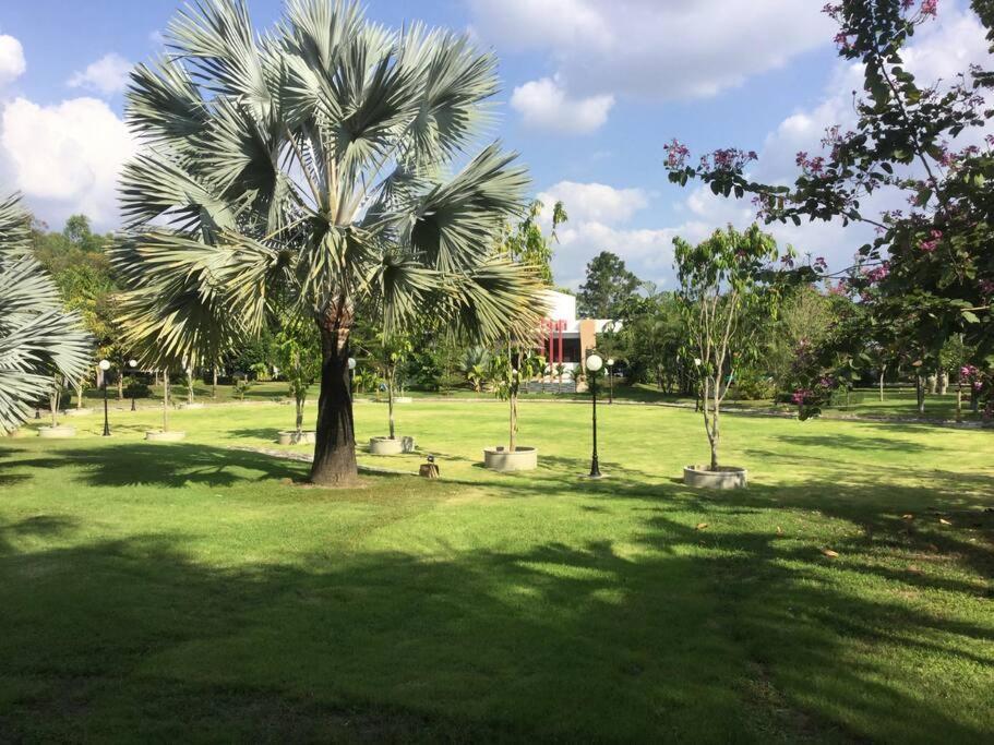 Countryside Villa, 2 Bedroom Villa, Infinity Pool And Maid Service Villa *