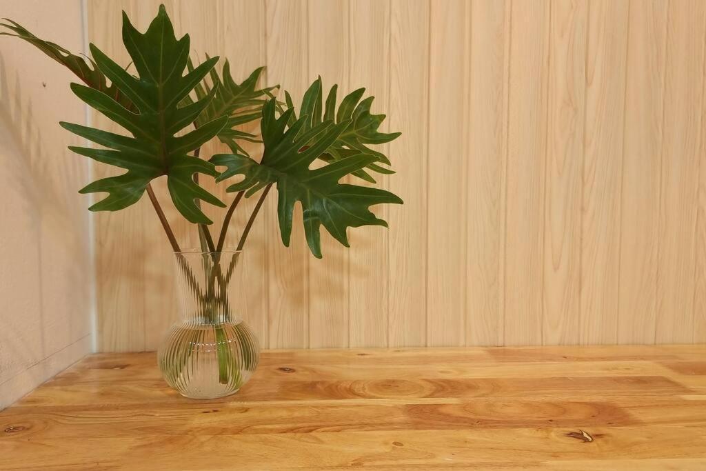 Apartment Eco-friendly House Near Street Food Quiet Area *