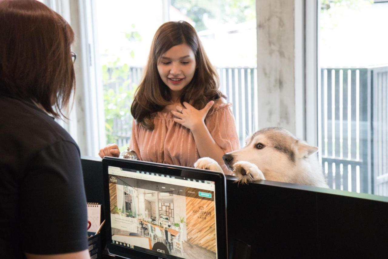 Ketawa Pet Friendly Chiang Mai