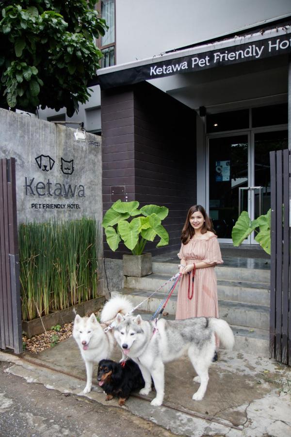 Ketawa Pet Friendly Chiang Mai