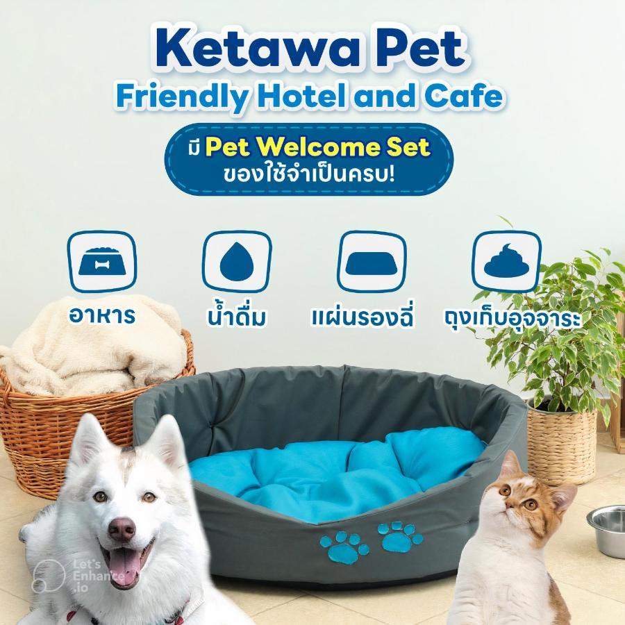 Ketawa Pet Friendly Hotel 4*