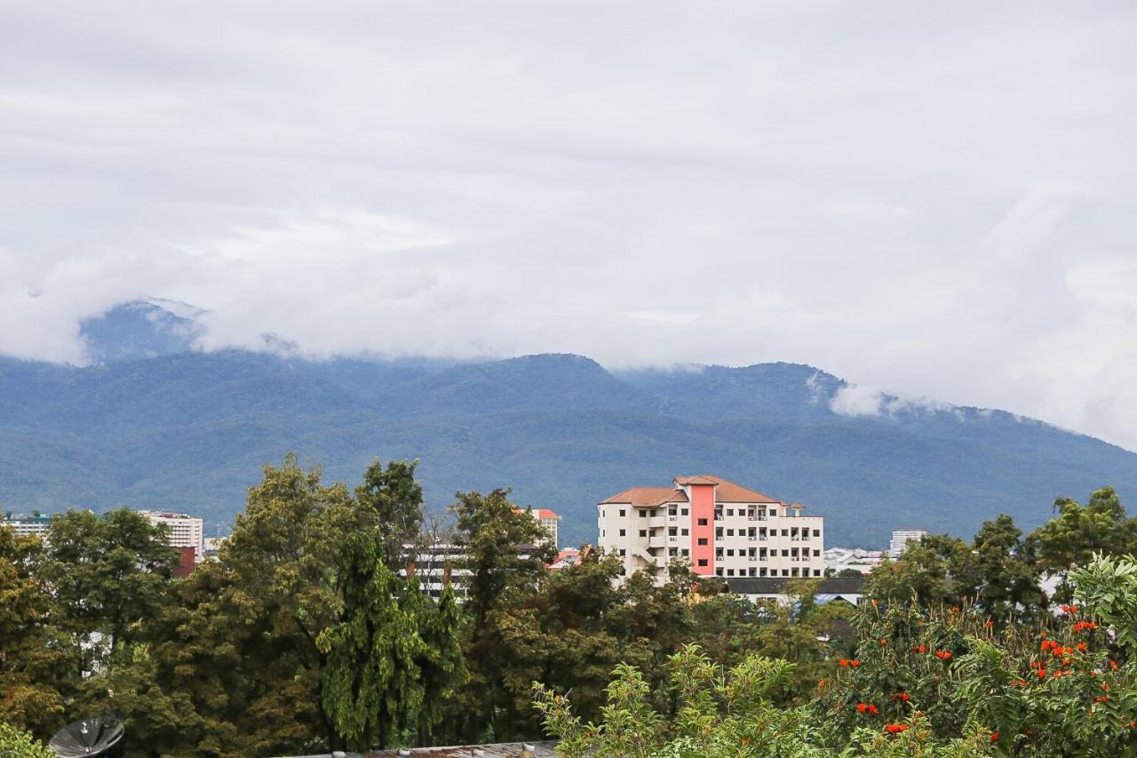 Jeune - Chang Phuak *