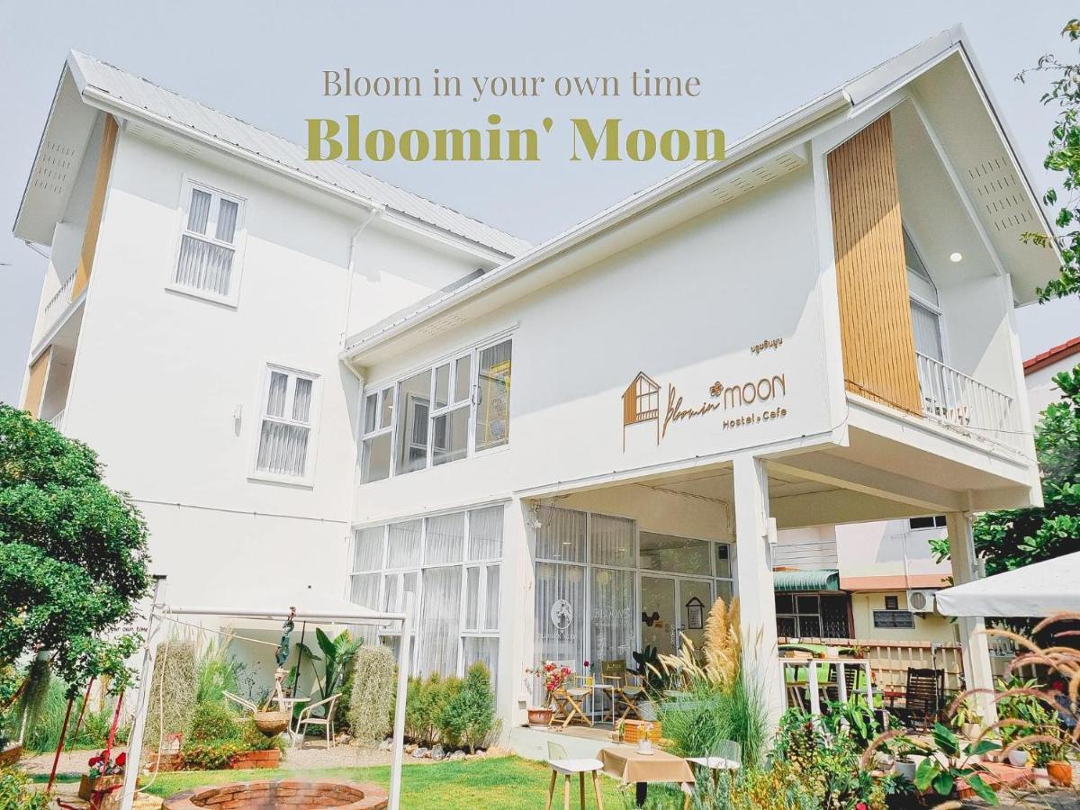 Bloomin' Moon Hostel, Old Town *
