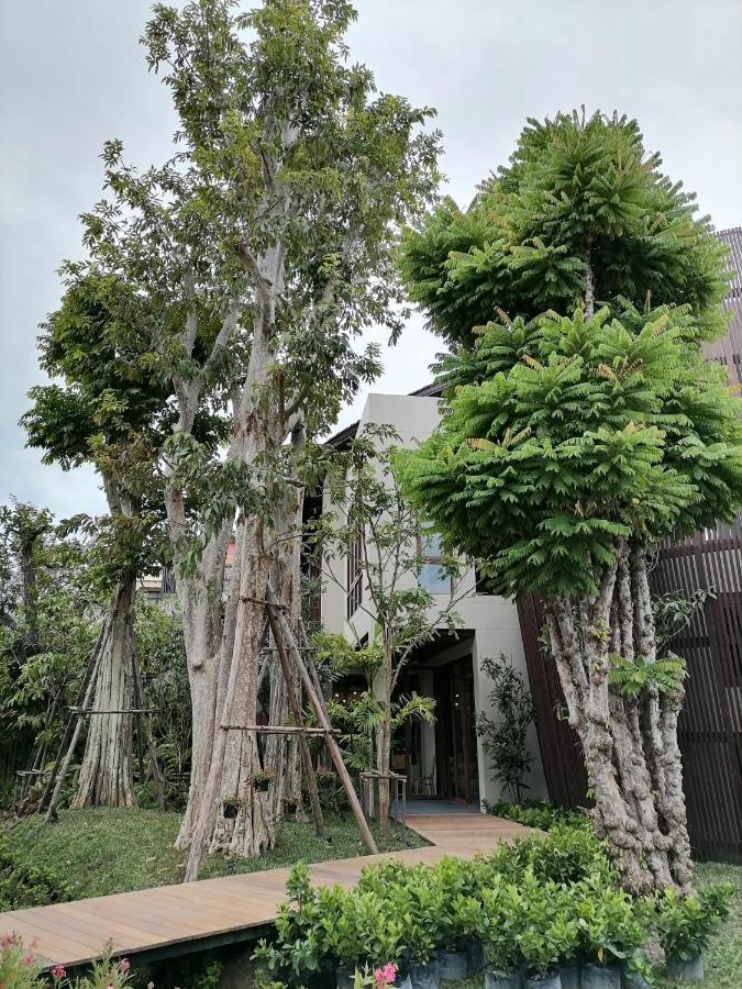 Rarin Chiang Mai