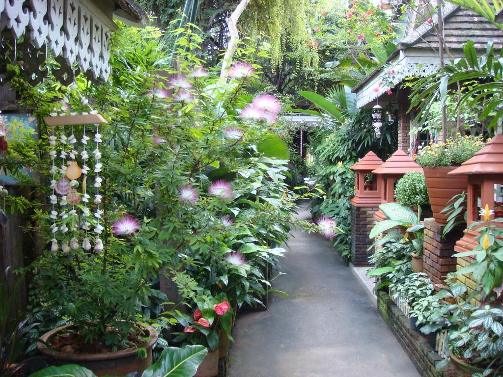Suan Doi House & 3*