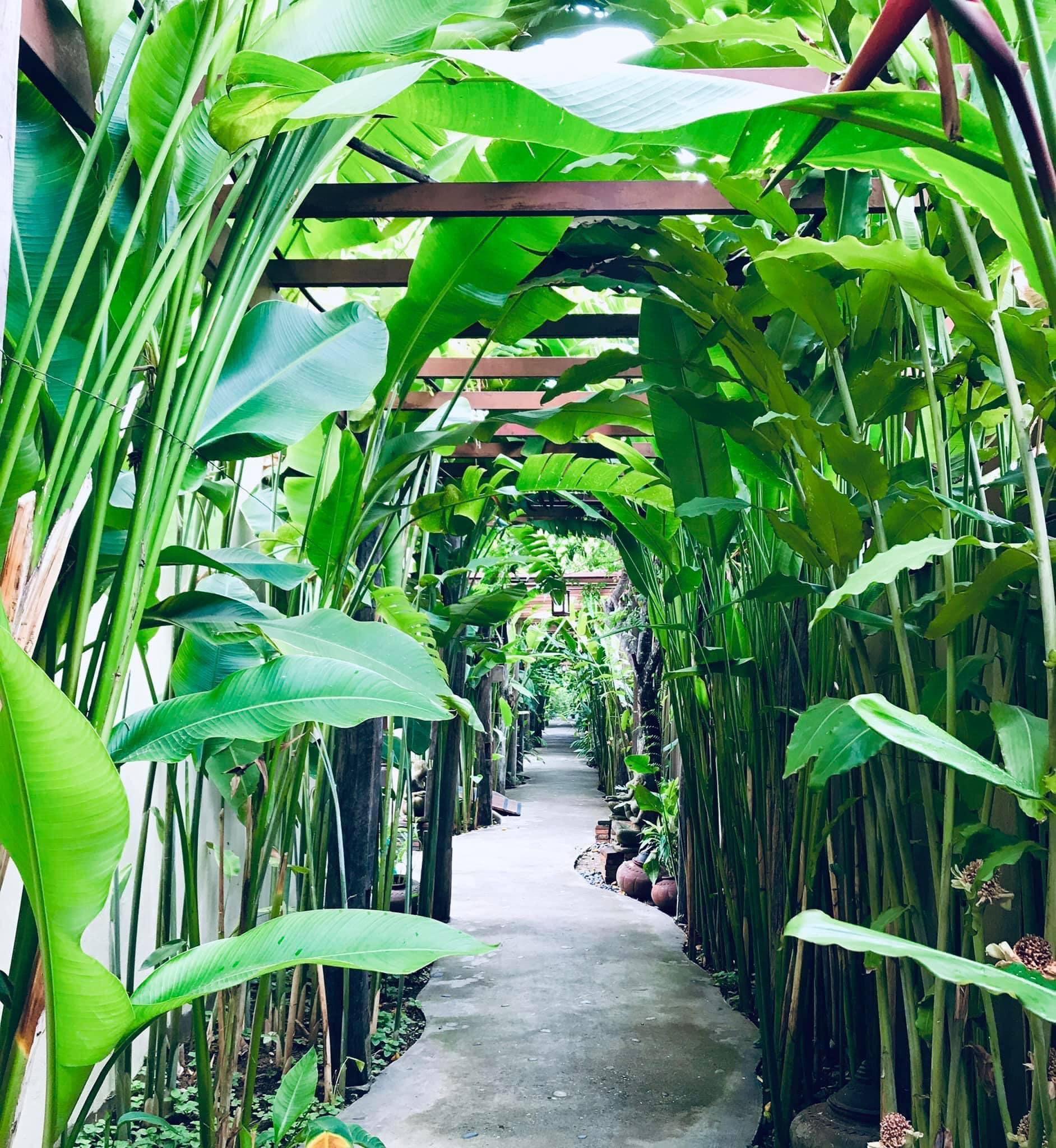Shewe Wana Hotel Chiang Mai