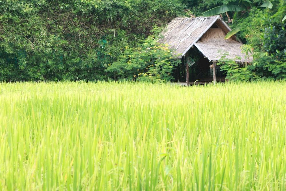 Chompor Lanna 3* Chiang Mai