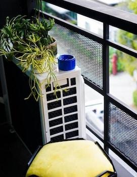 The Hive Hotel