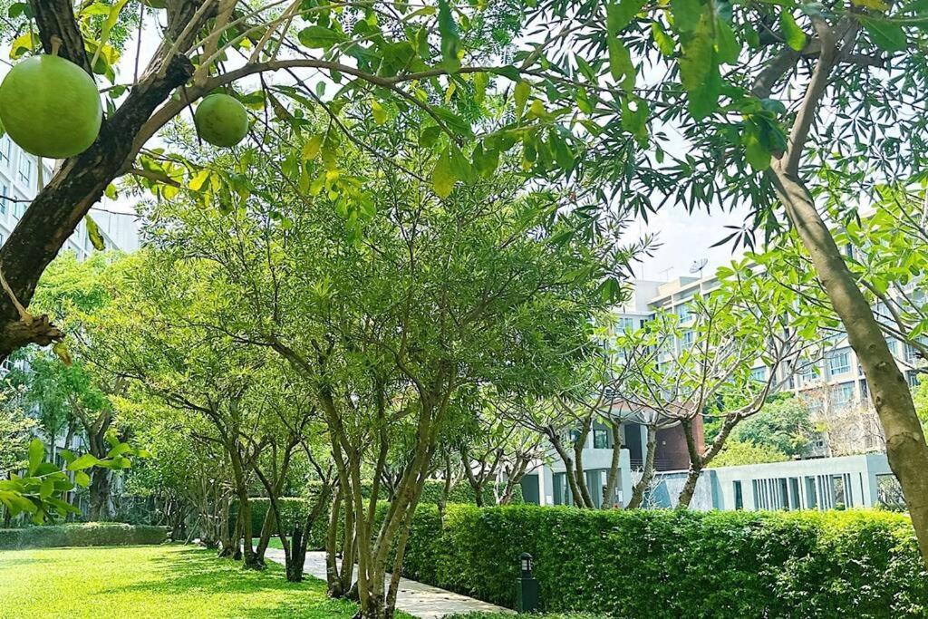 Chic * Chiang Mai