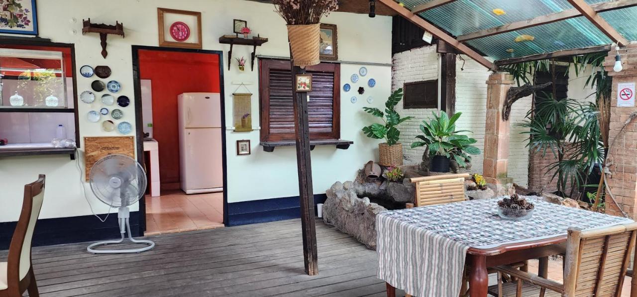 Cozy Nest Cnx *