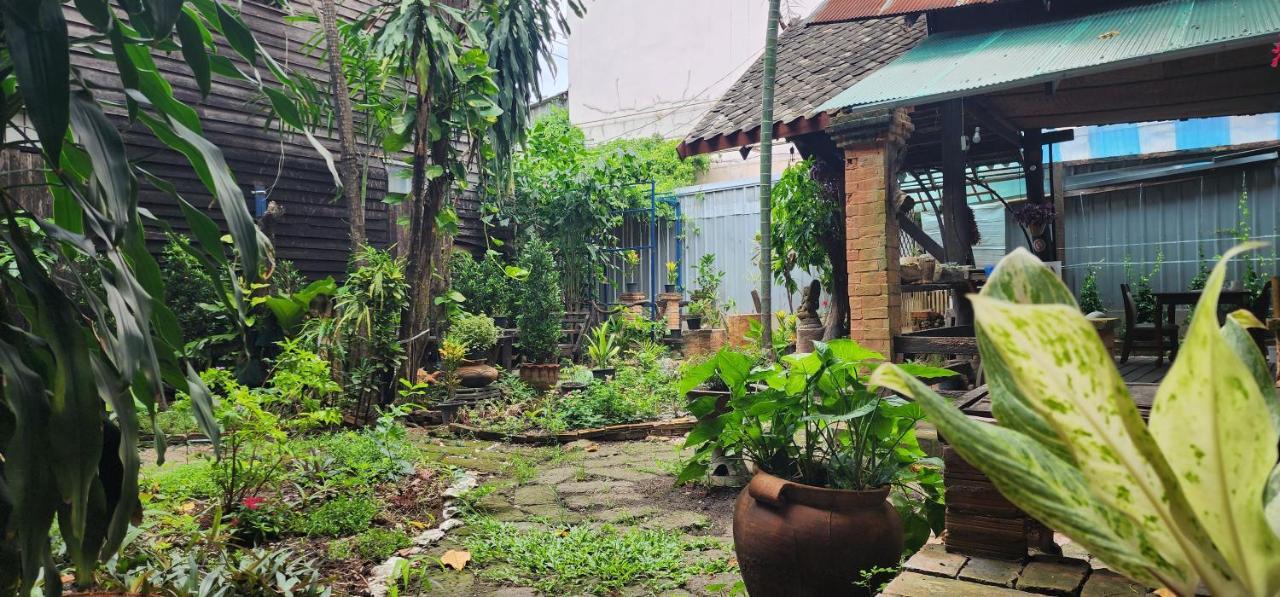 Cozy Nest Cnx Hostel *