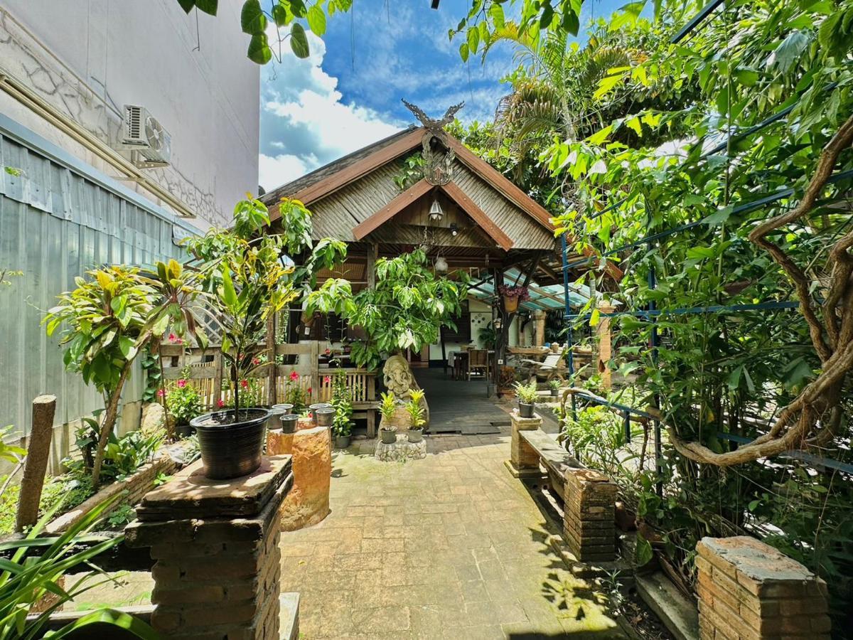 Cozy Nest Cnx Hostel