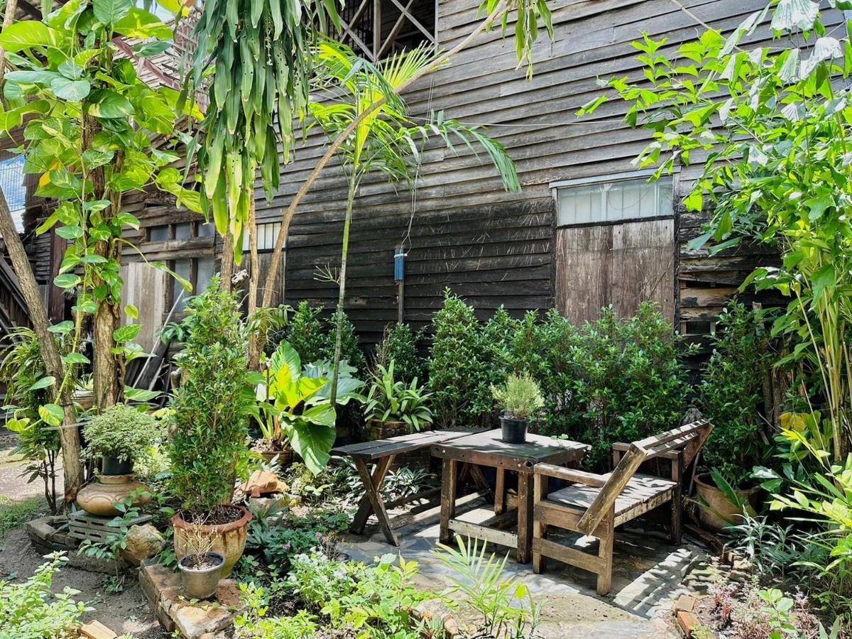 Cozy Nest Cnx Chiang Mai
