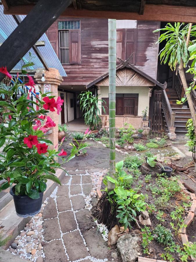 Cozy Nest Cnx Hostel *