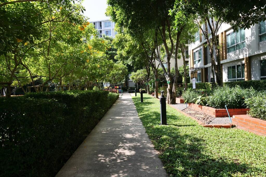 Greenery Living In Apartment